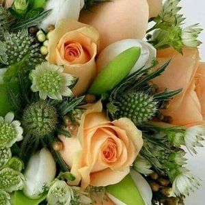 Meet your Posher, Norma